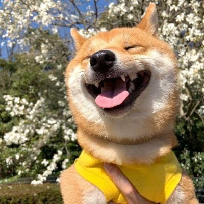 Sonal Sarin avatar